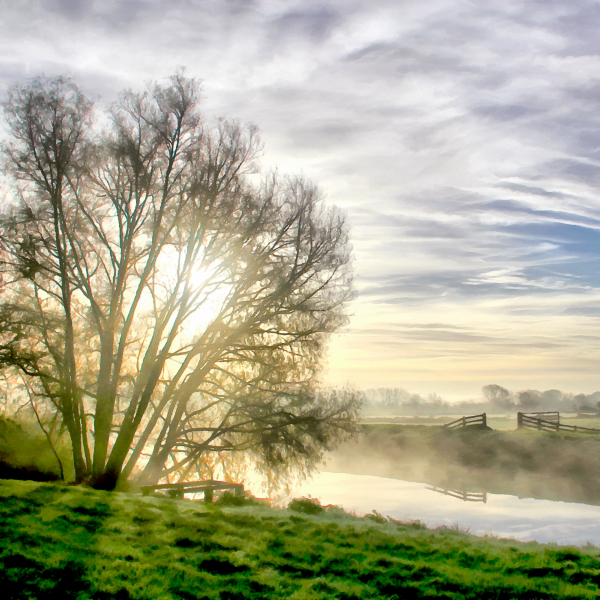 River Parrett - Langport
